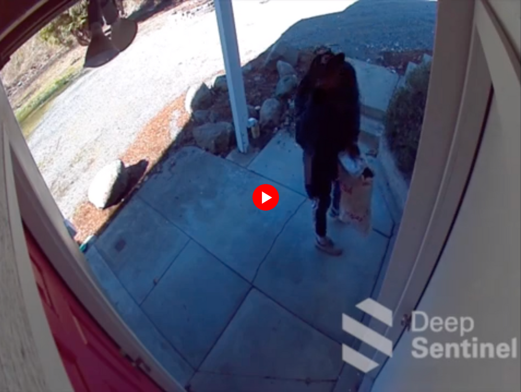 Preventing Potential Intruder